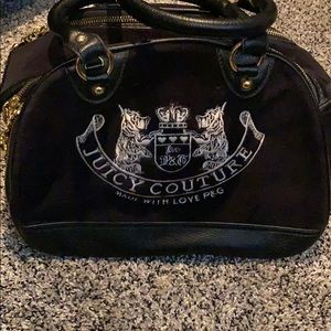 Juicy couture dog bag